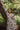 The LA Dress - Woodland Flora